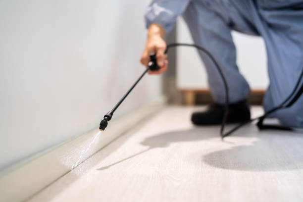 Licensed Mosquito Control service in Jim Thorpe, PA - Show Me Pest Control