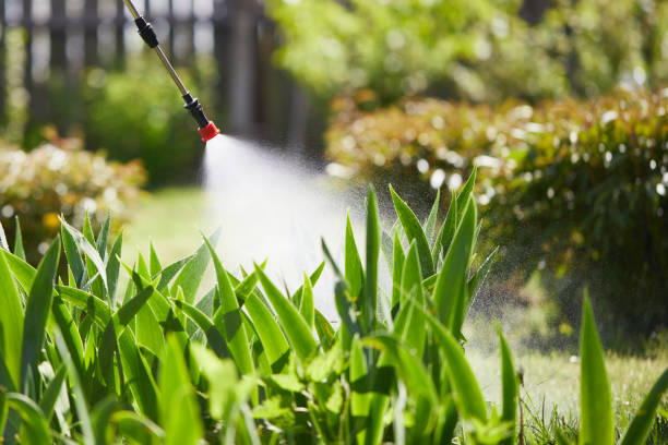 24/7 Emergency Mosquito Control experts in Jim Thorpe, PA