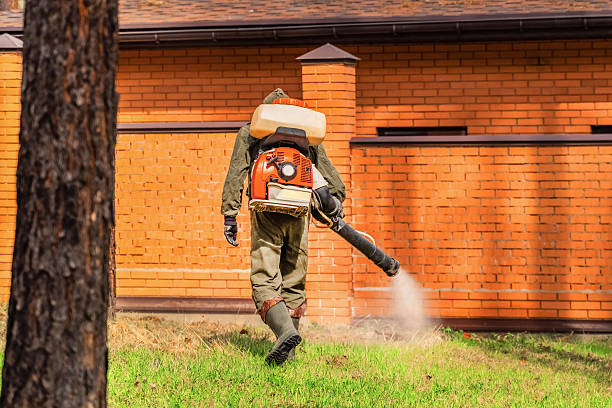 Top rated local Mosquito Control specialists in Jim Thorpe, PA